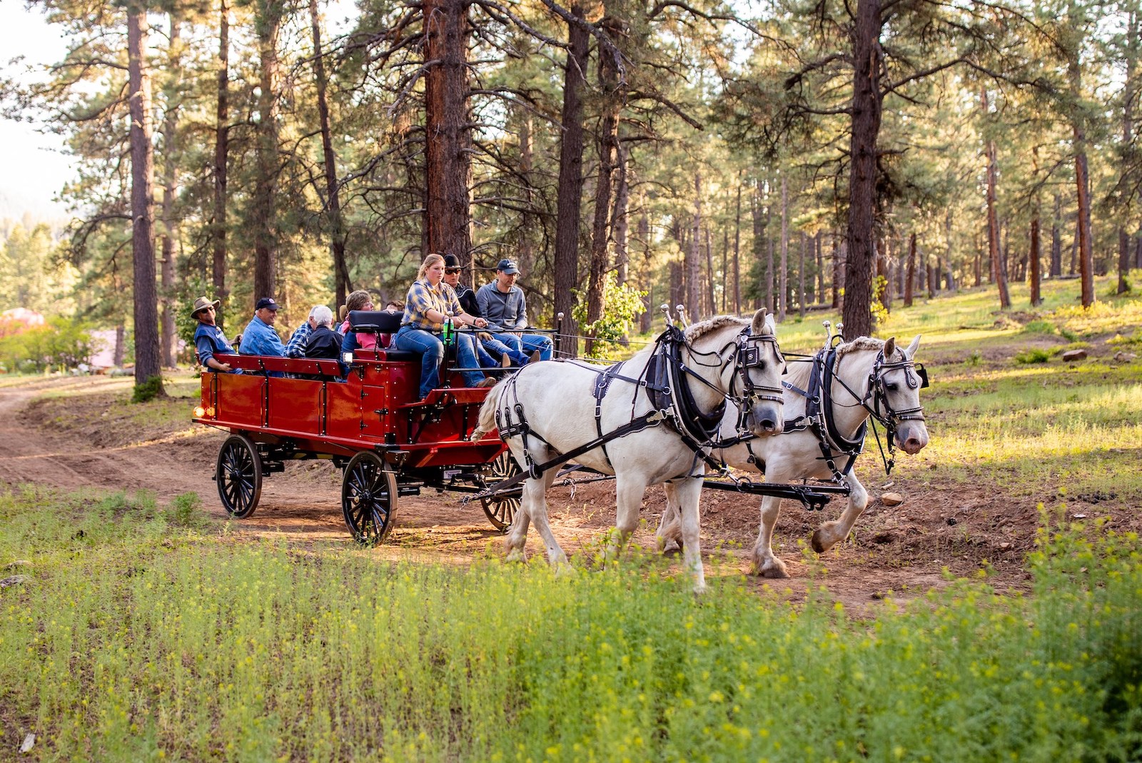 Image of a wagon pulling people at Colorado Trails Ranch in Durango