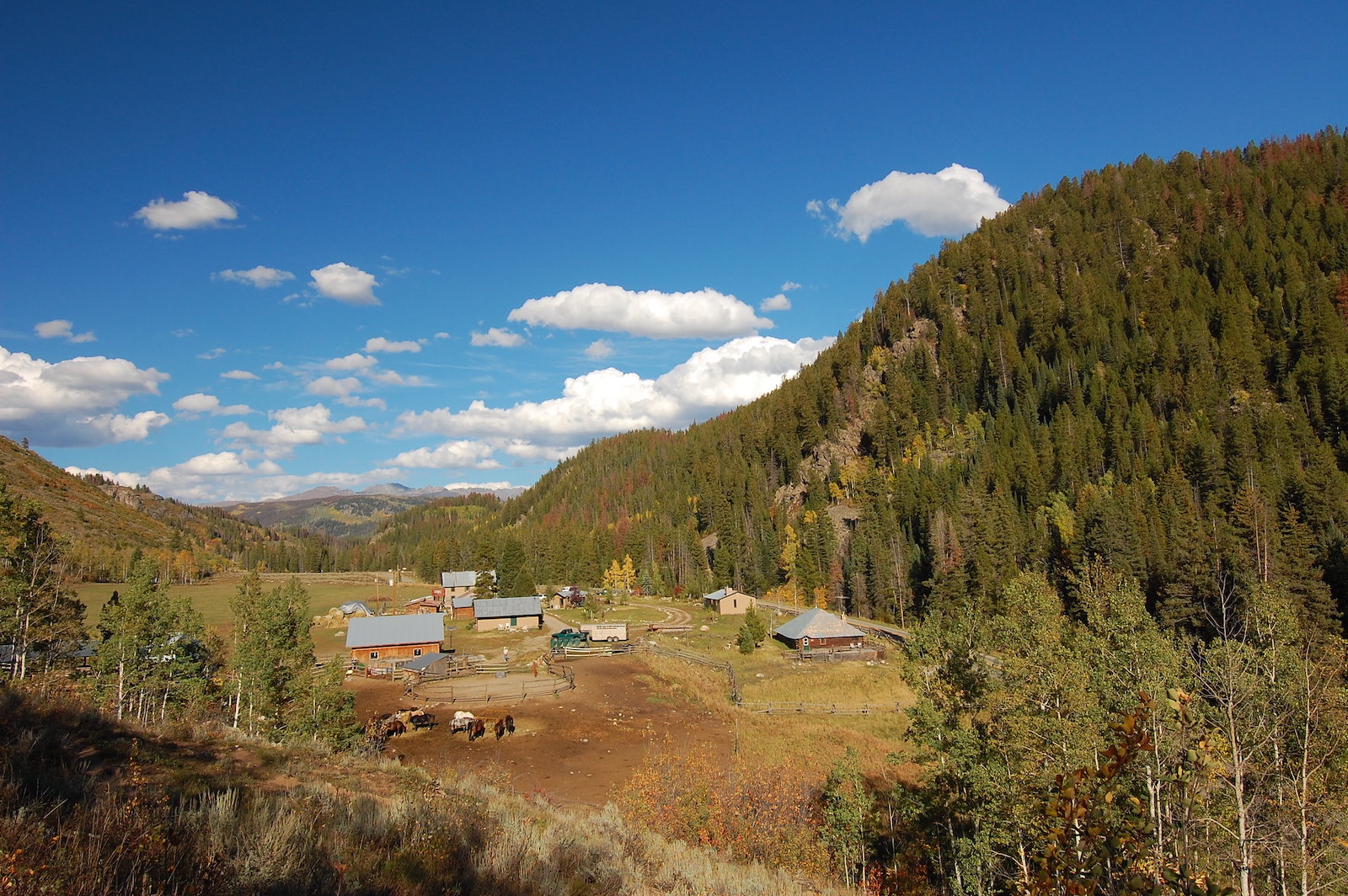 Image of the Elk River Guest Ranch