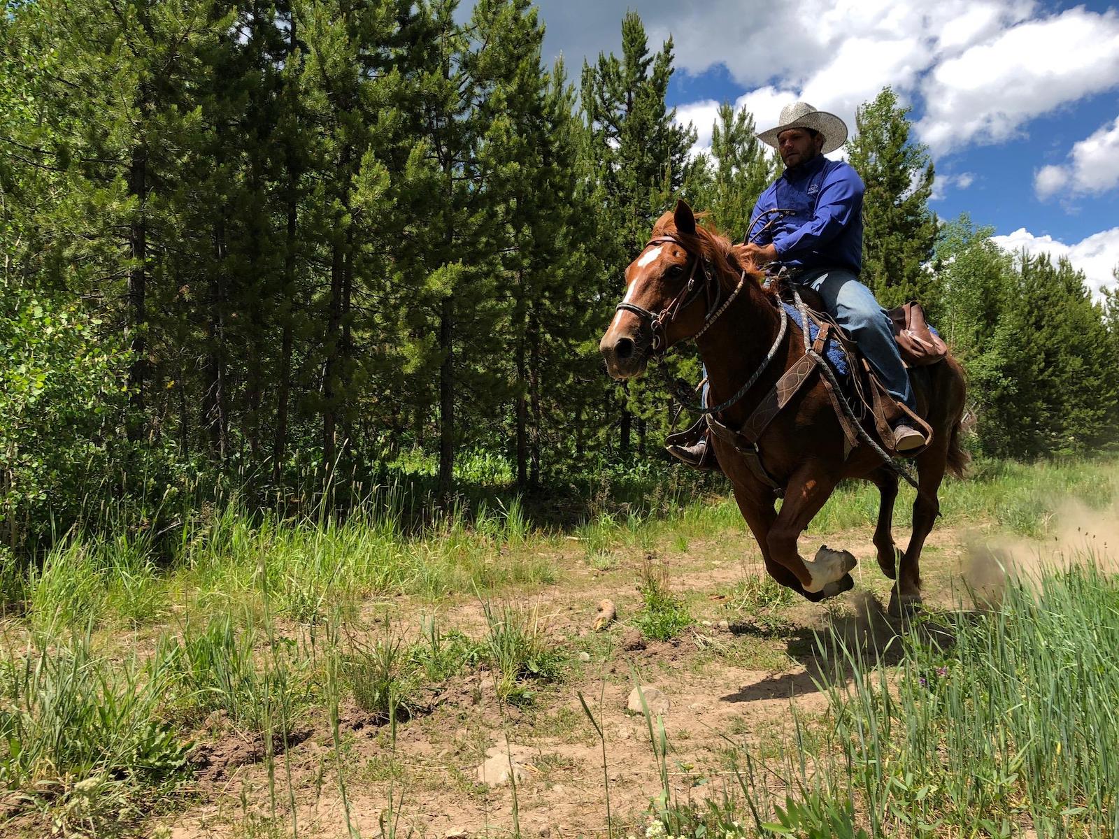 Image of a man riding a horse at the Elk River Guest Ranch in Clark, CO