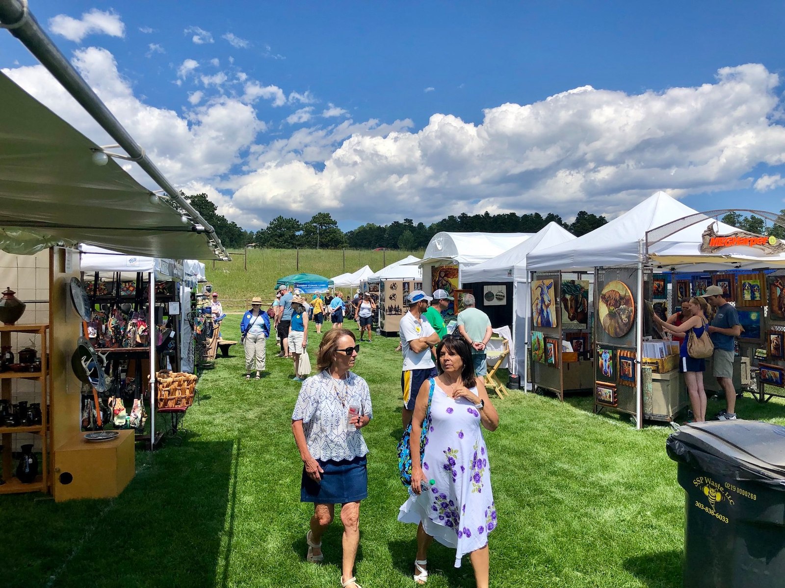 43rd Evergreen Summerfest 2023 July Art Festival