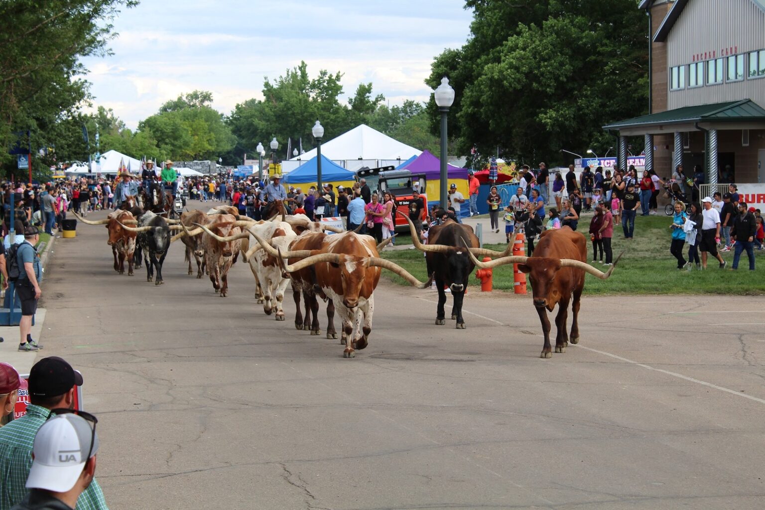 11 Mustattend Colorado Summer Festivals Best Annual Summer Events in CO