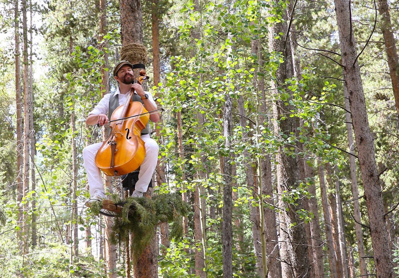 Image of a man playing a cello in a tree in the forest in Breckenridge, Colorado