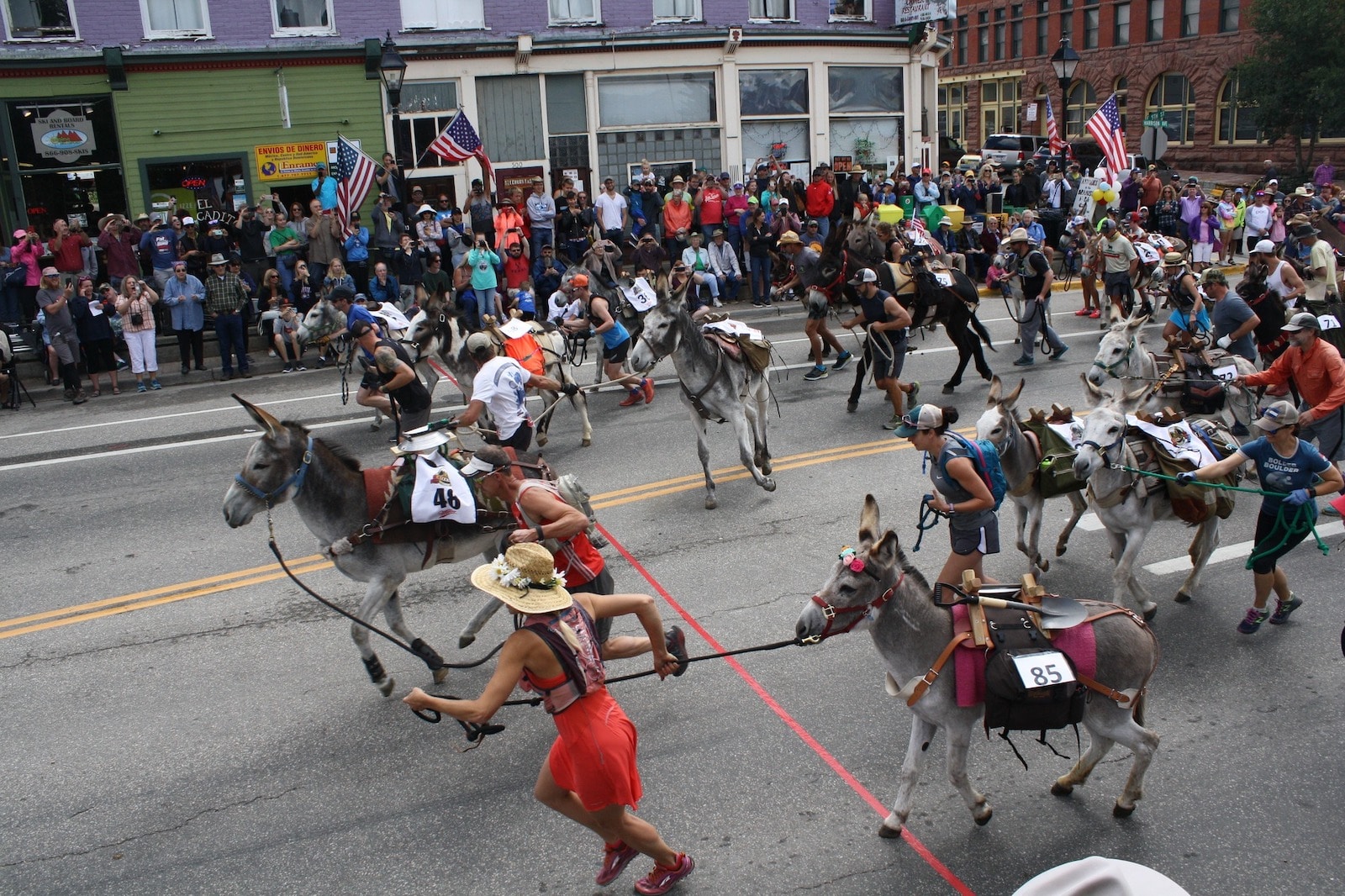 Image of a donkey race at Leadville Boom Days in Colorado