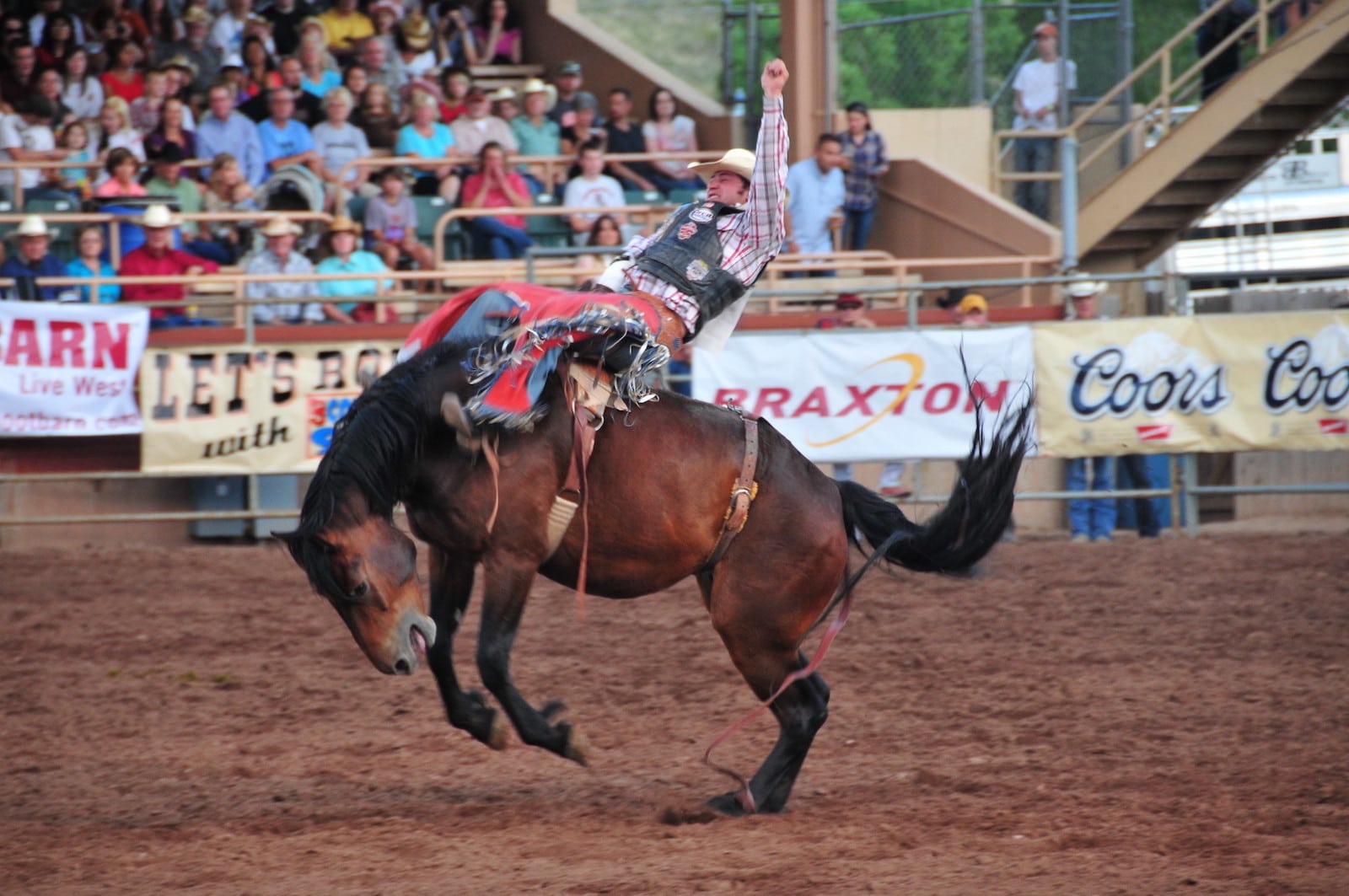 Image of a rider on a horse at Pikes Peak or Bust Rodeo in Colorado Springs