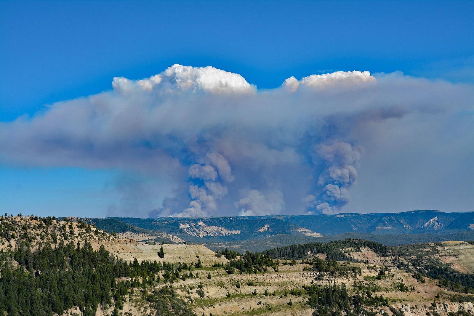 Image of smoke columns and flammagenitus clouds from the Pine Gulch fire in Colorado