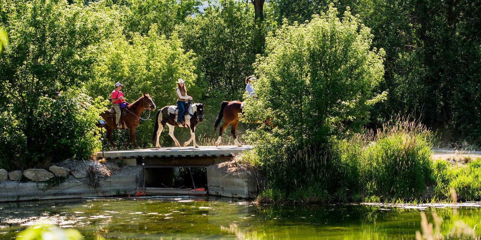 Image of people riding horses at The High Lonesome Ranch in De Beque, Colorado