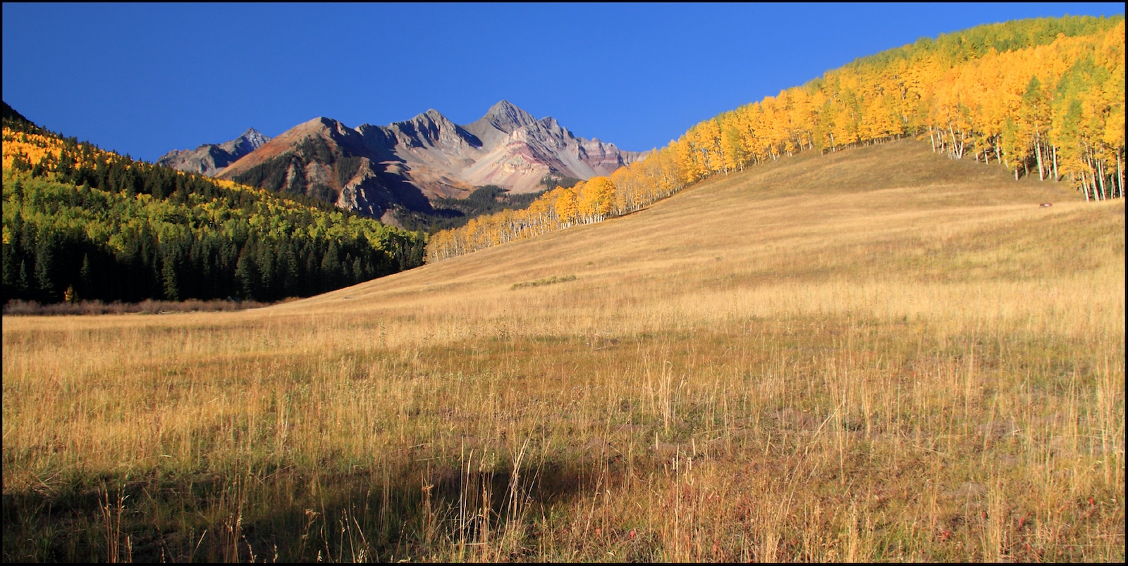 Wilson Peak from Sunshine Mesa Colorado