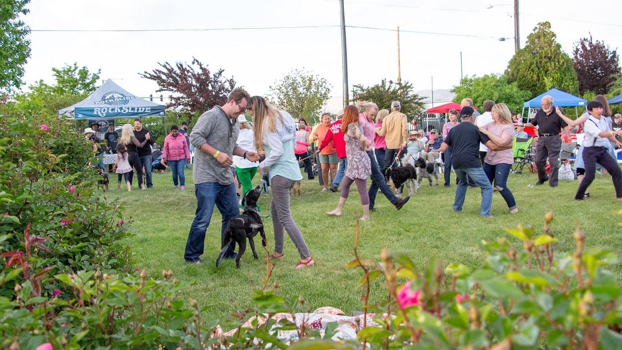 Image of the crowd dancing at the Wuffstock Music Festival in Grand Junction, Colorado