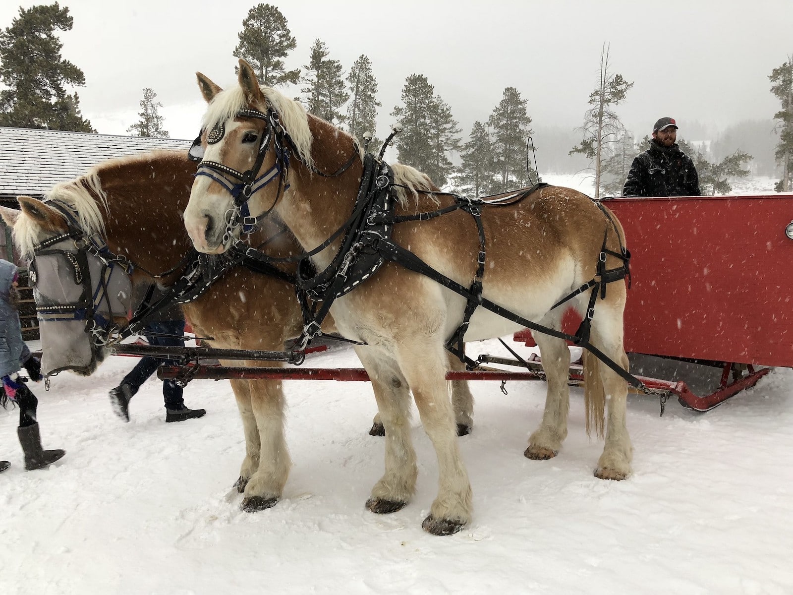 WINTER IN KEYSTONE, COLORADO – Travels with Daphne