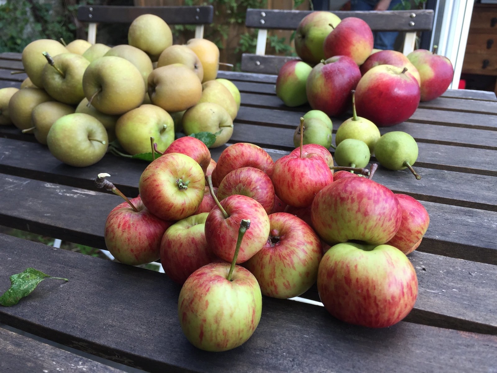 Image of apples and pears