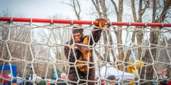 Image of Bigfoot going over an obstacle at Bigfoot Days in Estes Park, Colorado