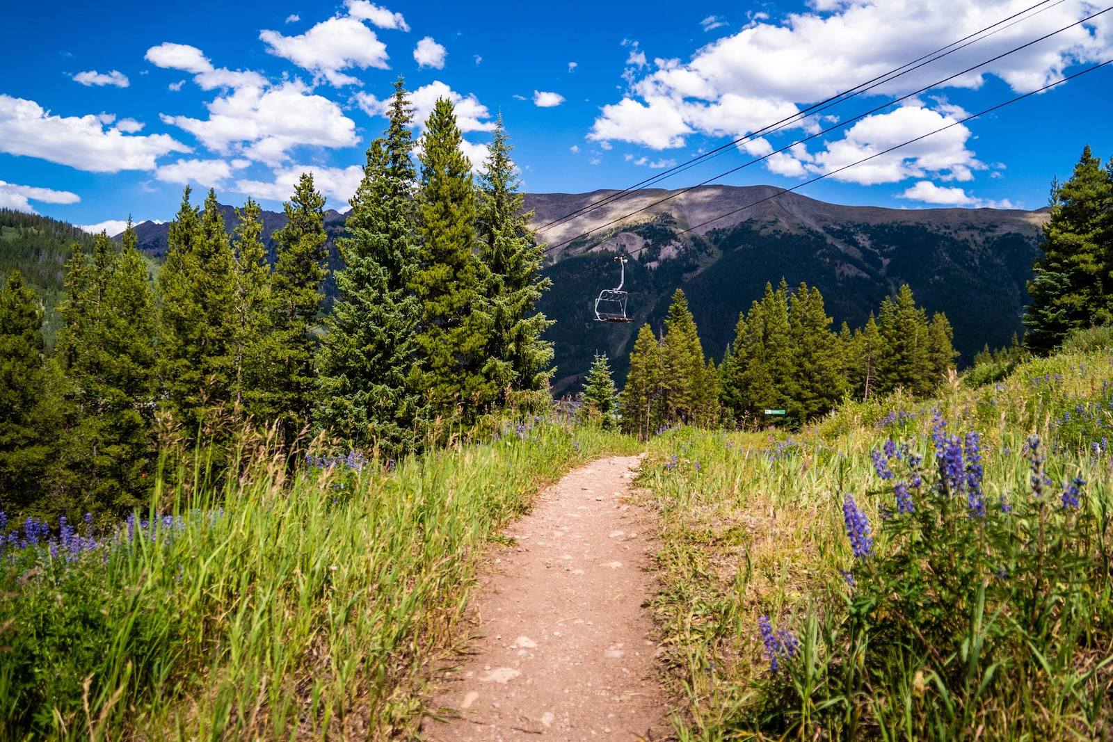 Image of a path through fields at Copper Mountain, Colorado