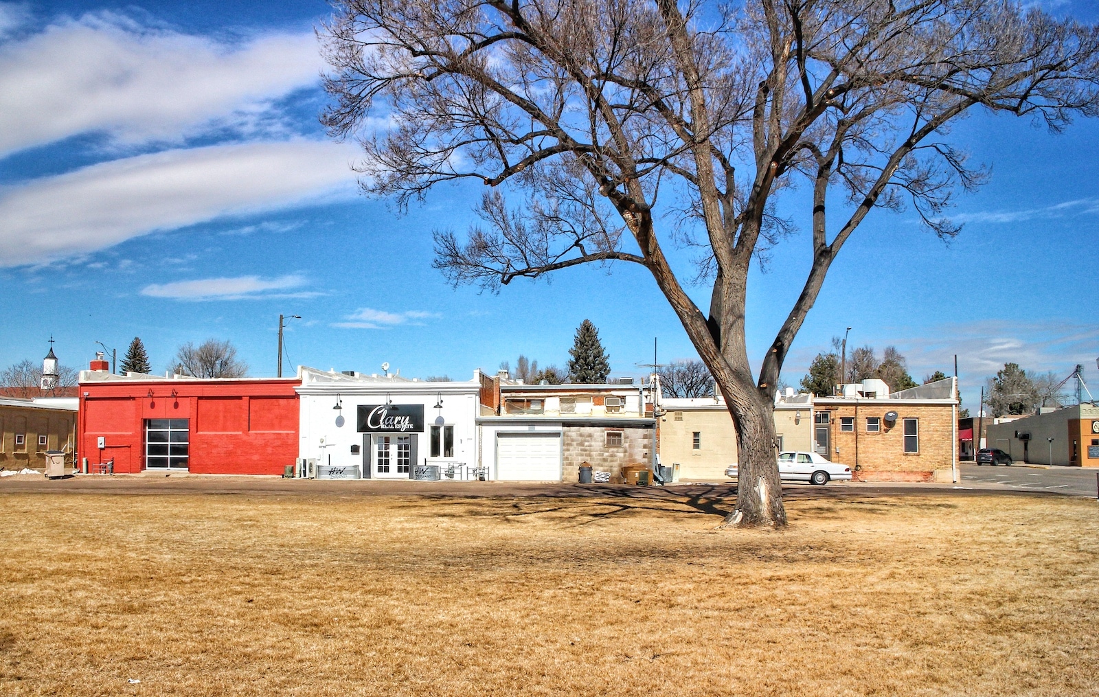 Eaton Colorado Downtown Park Tree