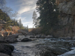 Image of the Eleven Mile Canyon Recreation Area in Colorado