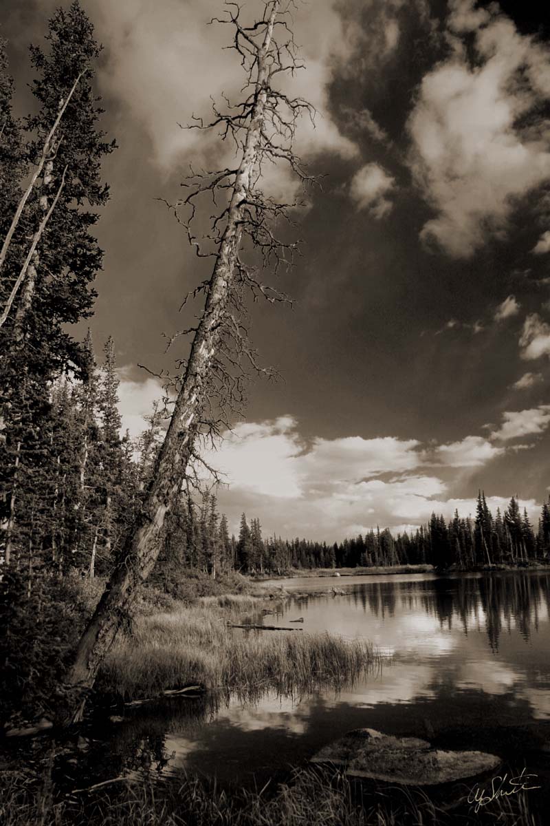 Glendevey Colorado Cameron Pass