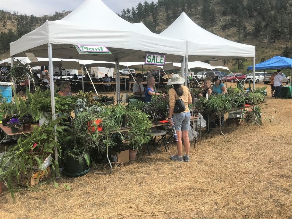 Image of plants being sold at the Rist Canyon Volunteer Fire Department Mountain Festival in Bellvue, Colorado