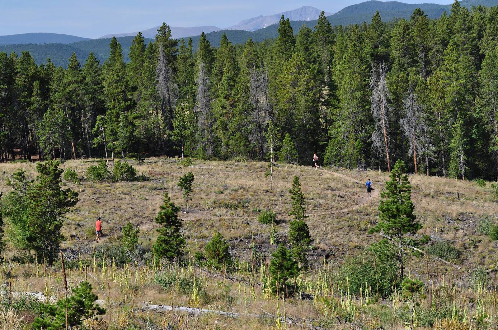 Image of people running at Ned*Ned in Nederland, Colorado