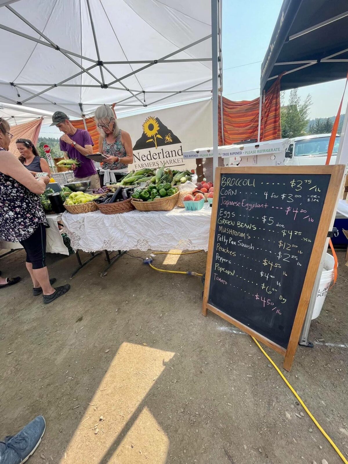 Image of the Nederland Farmer's Market in Colorado