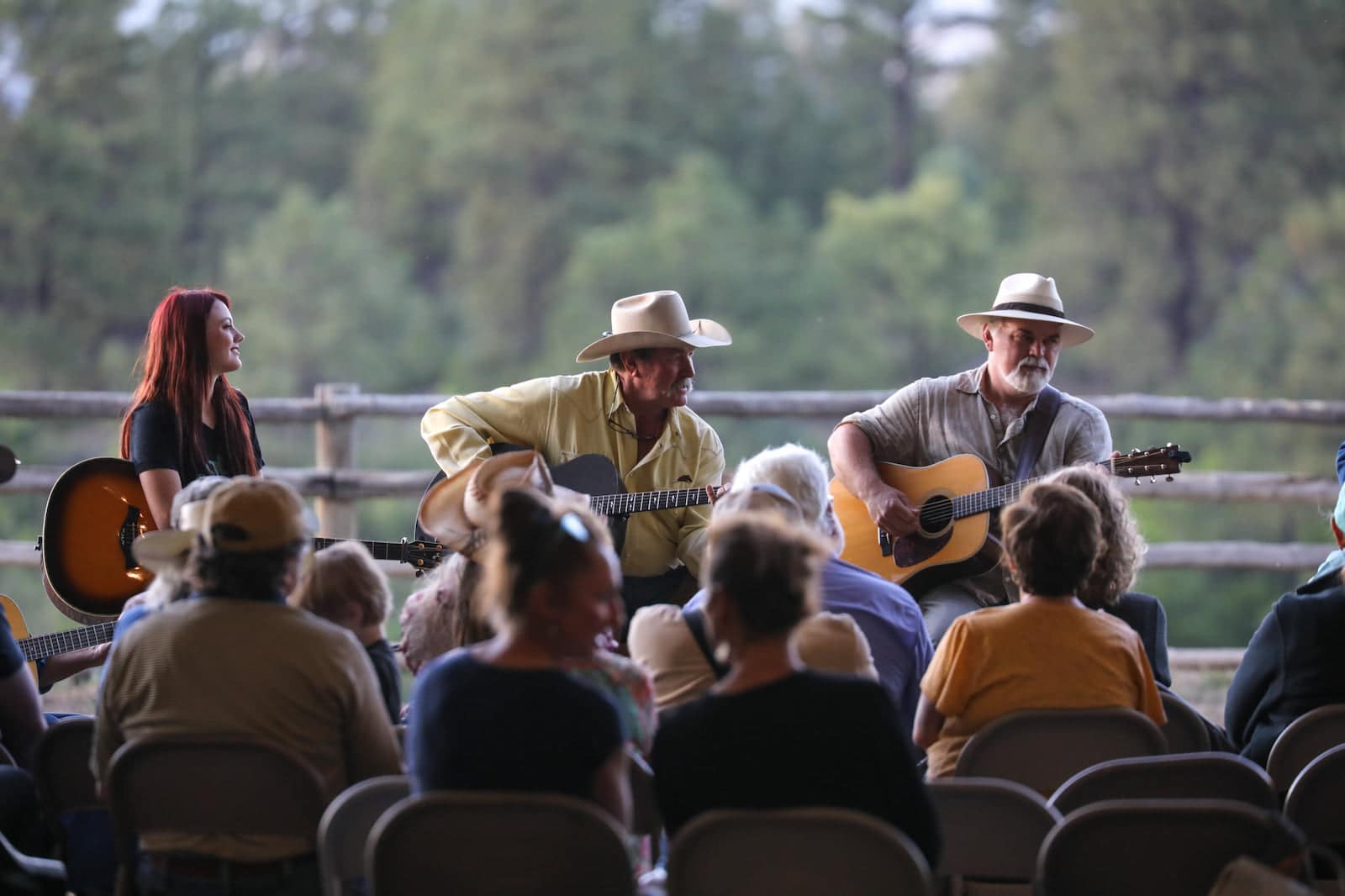 Image of musicians at the Parelli Summer BBQ and Musician's Rendezvous 