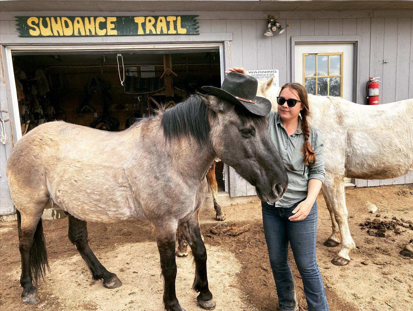 Image of a horse with a hat an the Sundance Trail Guest Ranch in Red Feather Lakes, Colorado