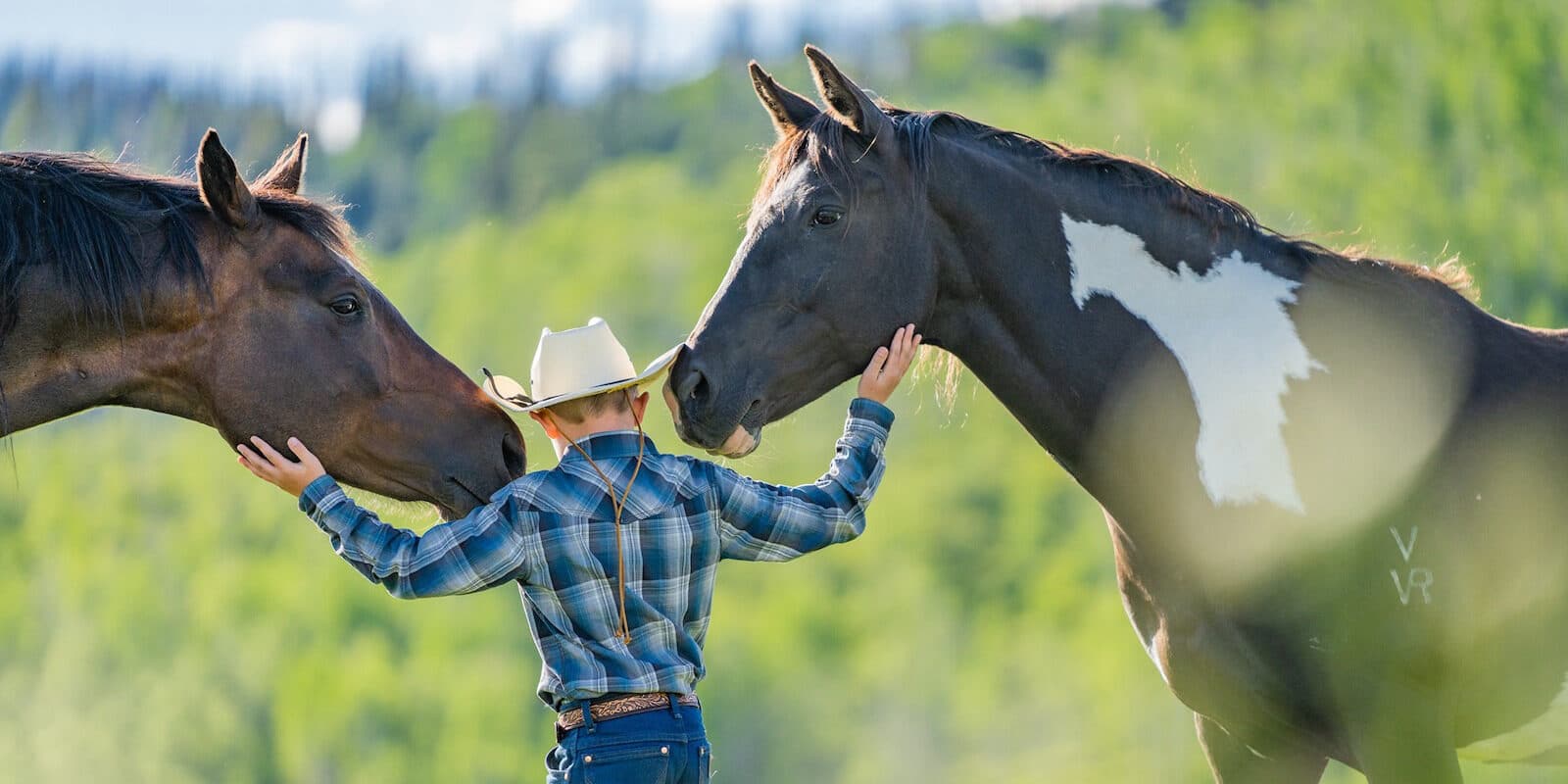 Image of a child with two horses at Vista Verde Ranch in Clark, Colorado