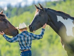 Image of a child with two horses at Vista Verde Ranch in Clark, Colorado