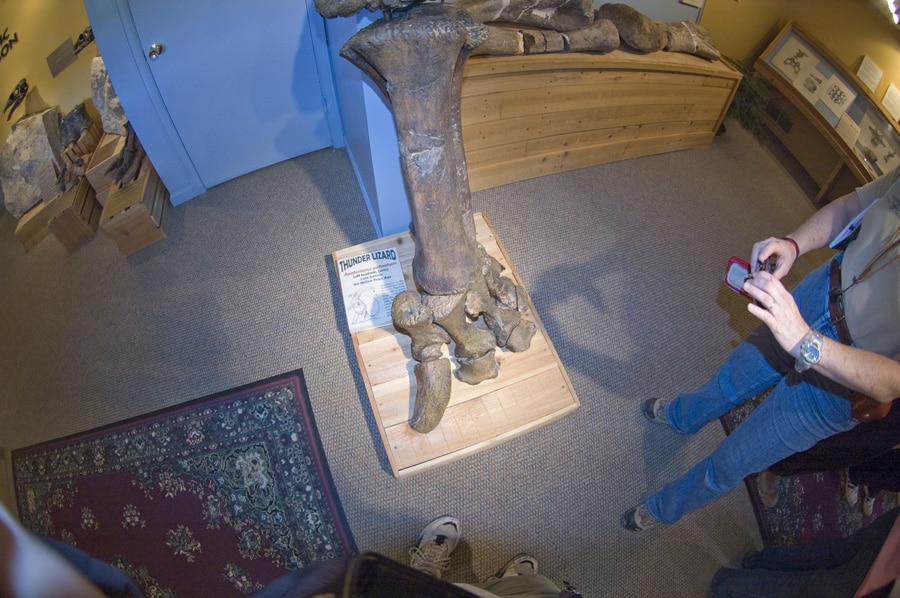 Morrison Natural History Museum, CO