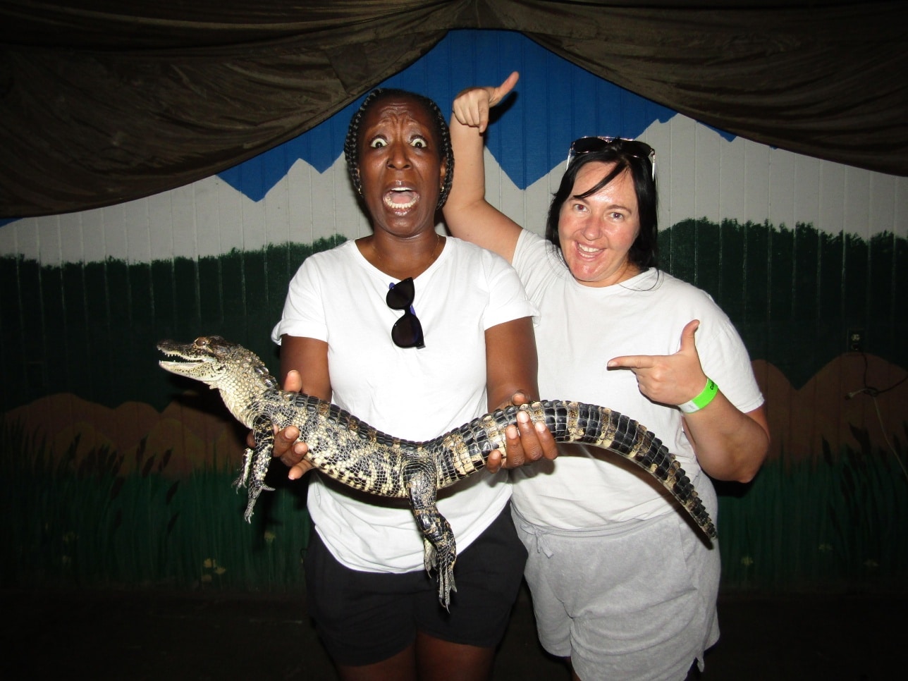 Image of guests holding a alligator at the Colorado Gator Garm