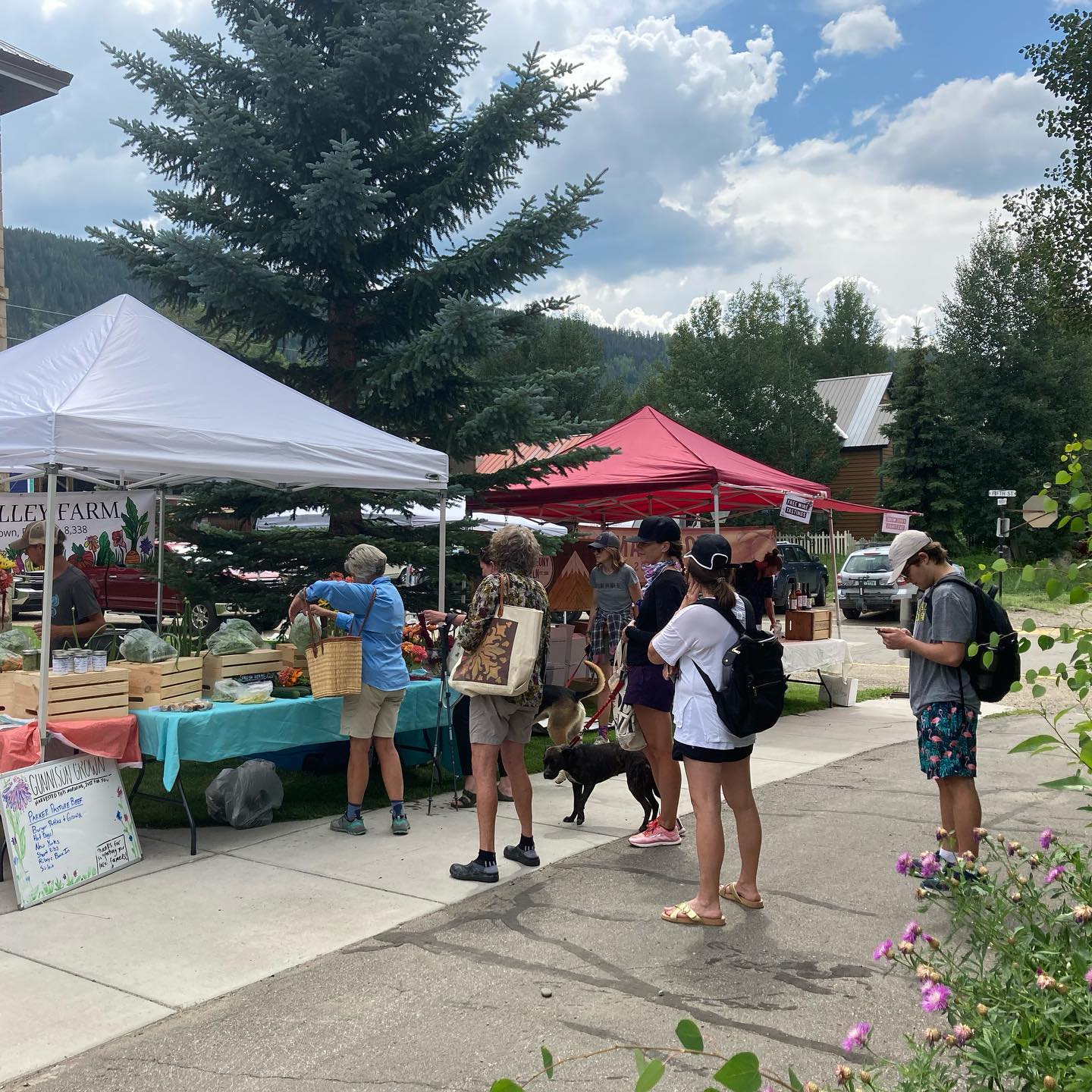 Image of people at the Crested Butte Farmer's Market in Colorado