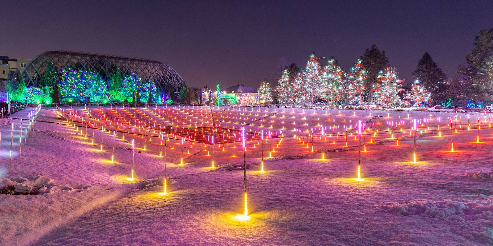 Image of holiday lights at the Denver Botanic Gardens in Colorado