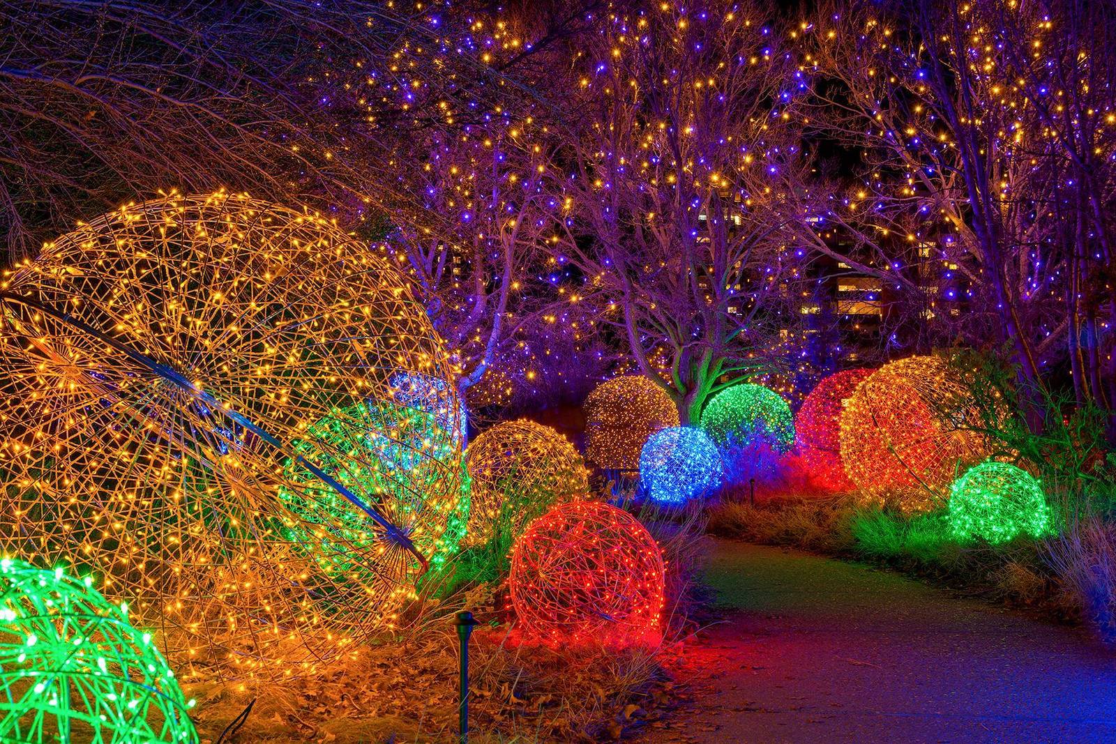 Image of the Denver Botanic Gardens Blossoms of Light event in Colorado