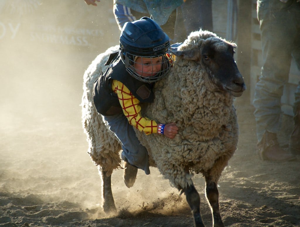 Image of a child riding a sheep at the snowmass rodeo