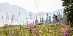 Image of a person playing disc golf at A-Basin in Colorado