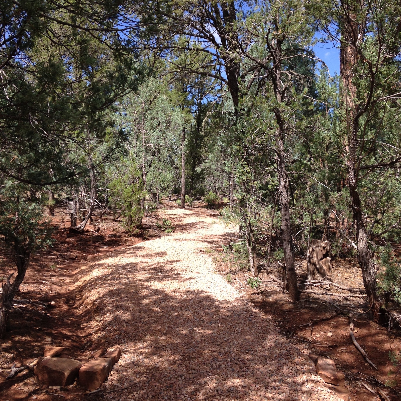 Battle of Glorieta Pass New Mexico