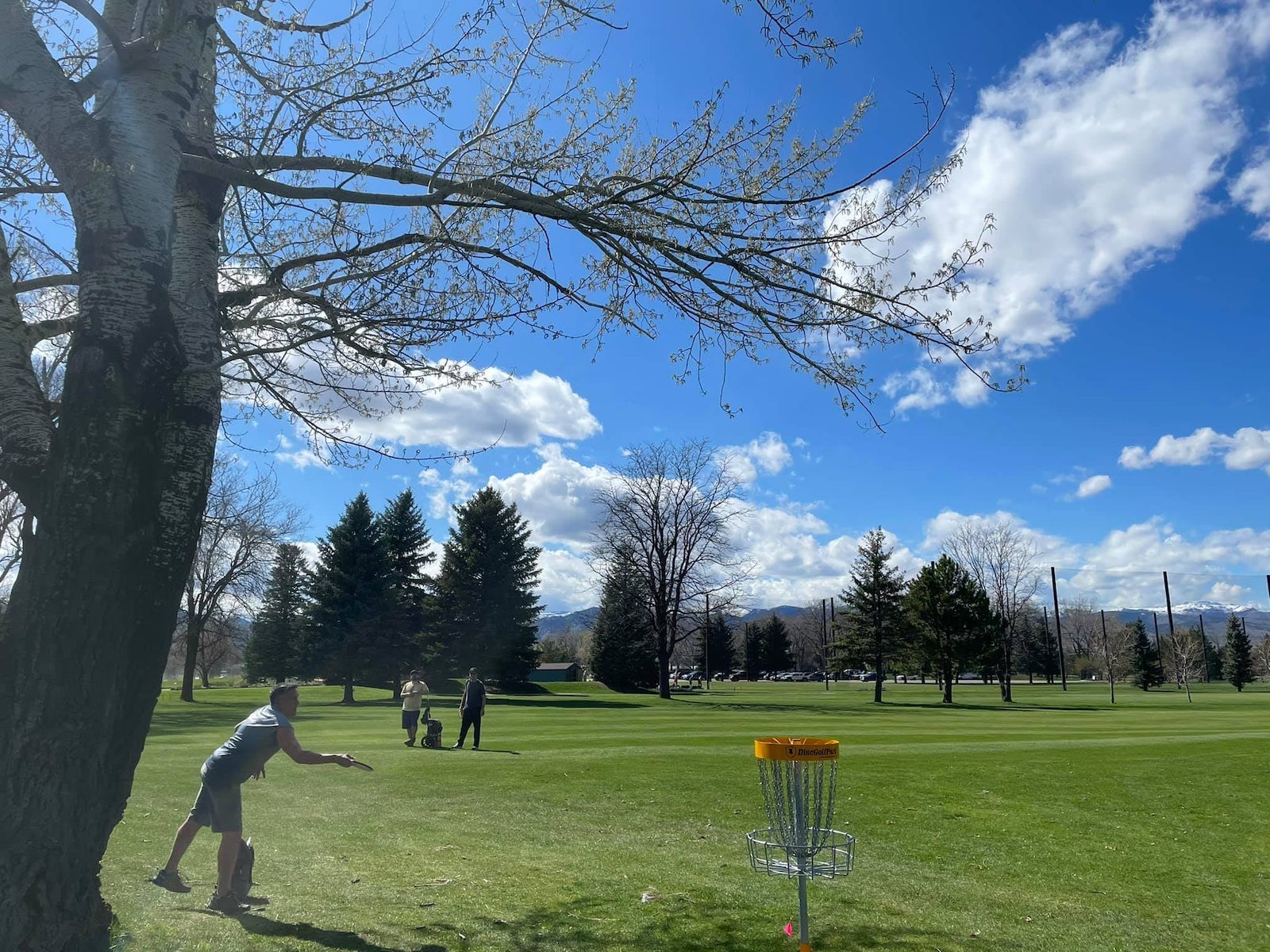 Image of a person playing disc golf at Flatirons Disc Golf Course in Boulder, Colorado