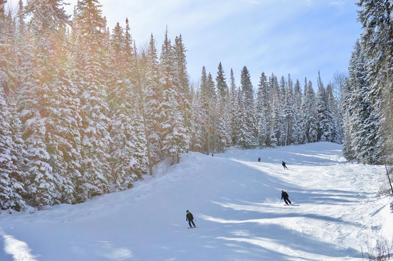 Image of the skiers on the slopes at Powderhorn Resort in Mesa, CO