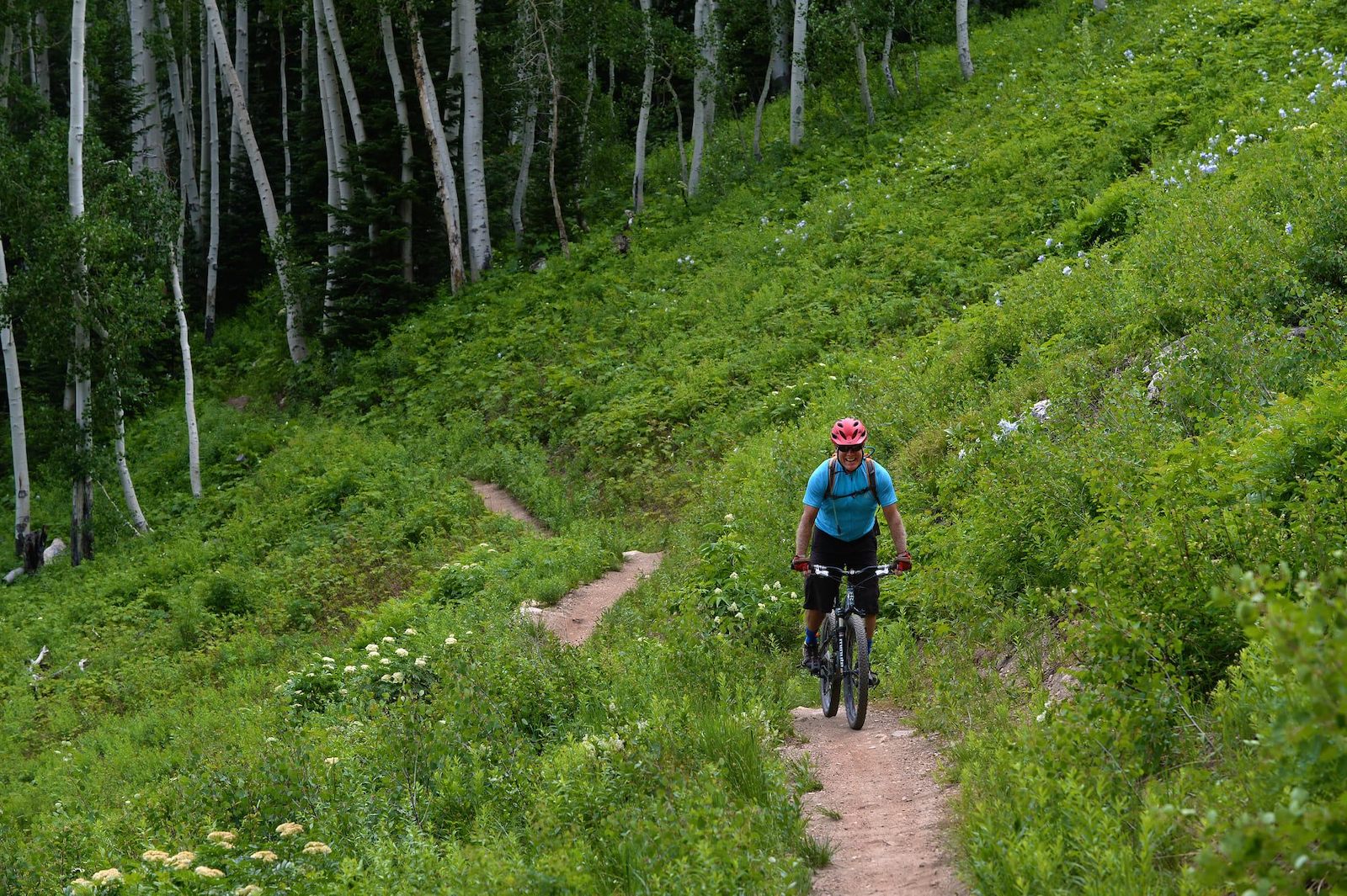 Gambar seseorang bersepeda gunung di Steamboat Bike Park di Colorado