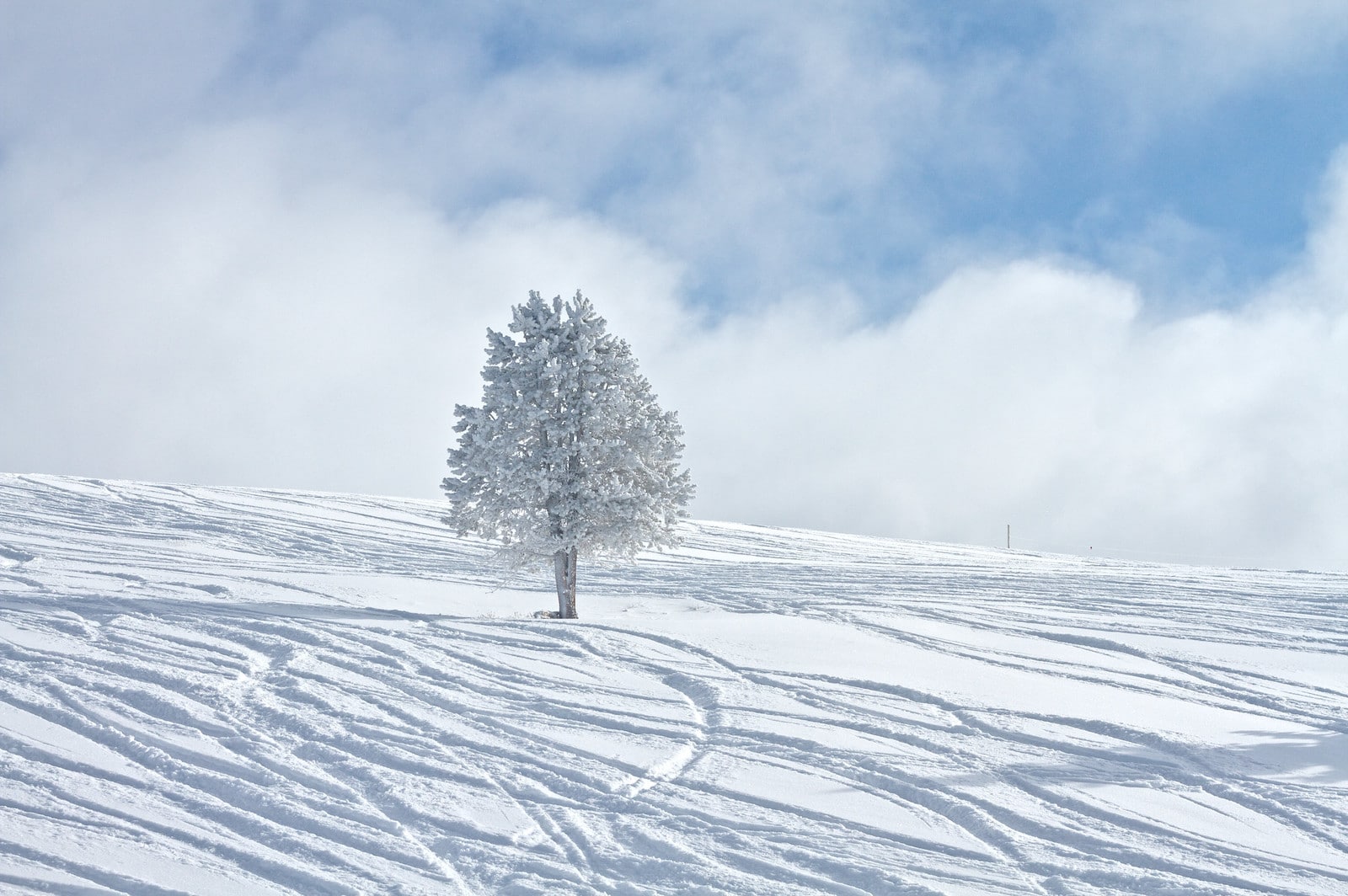 Gambar salju halus di Vail, Colorado