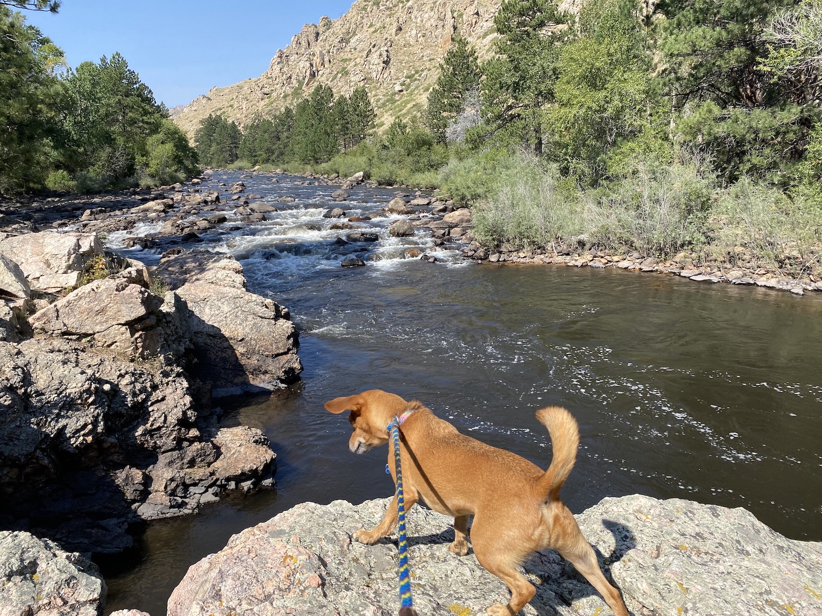 Sungai Cache La Poudre, CO