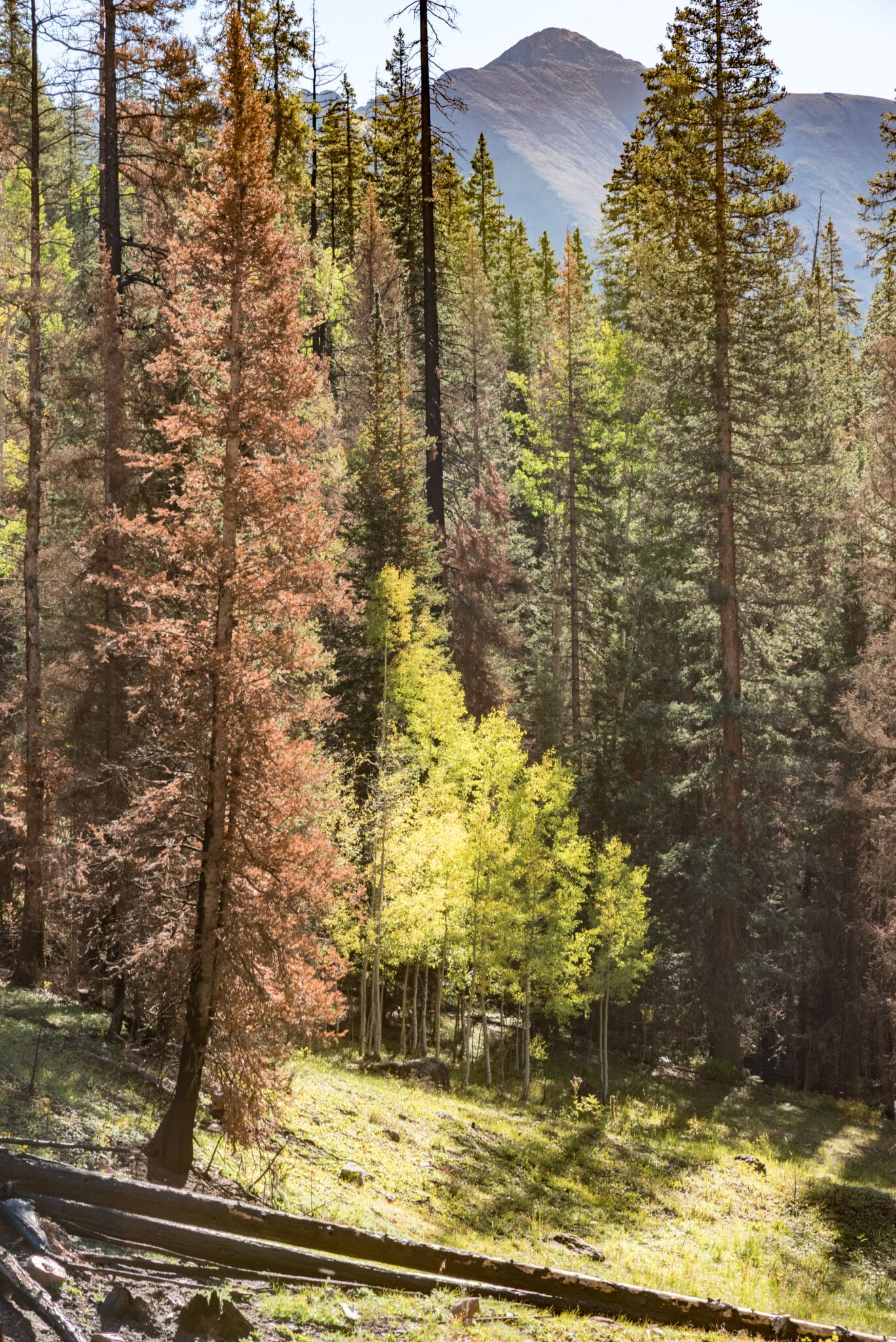 beginning of the ice lakes trail