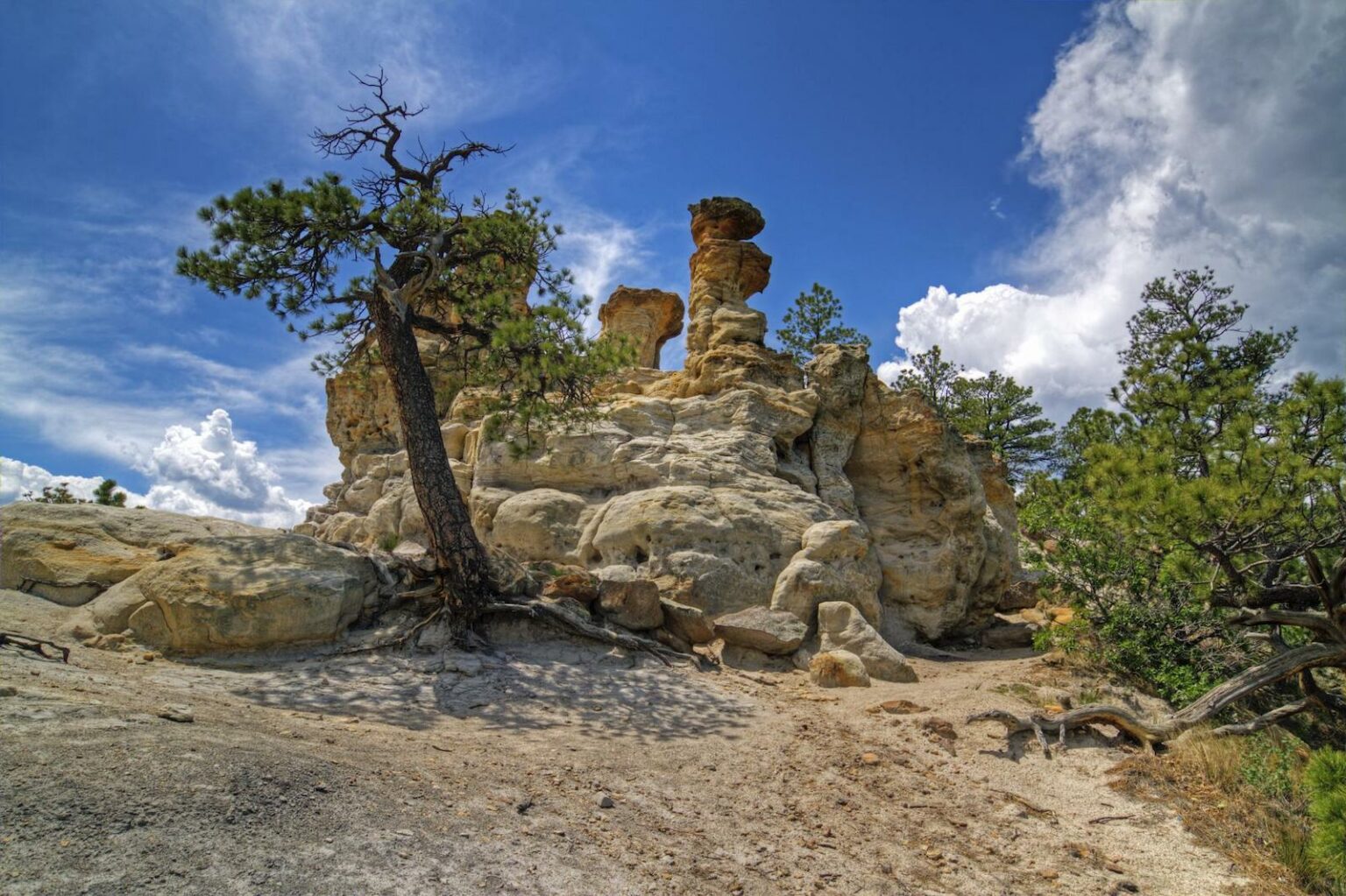 Colorado Springs Hiking at Pulpit Rock in Austin Bluffs Open Space