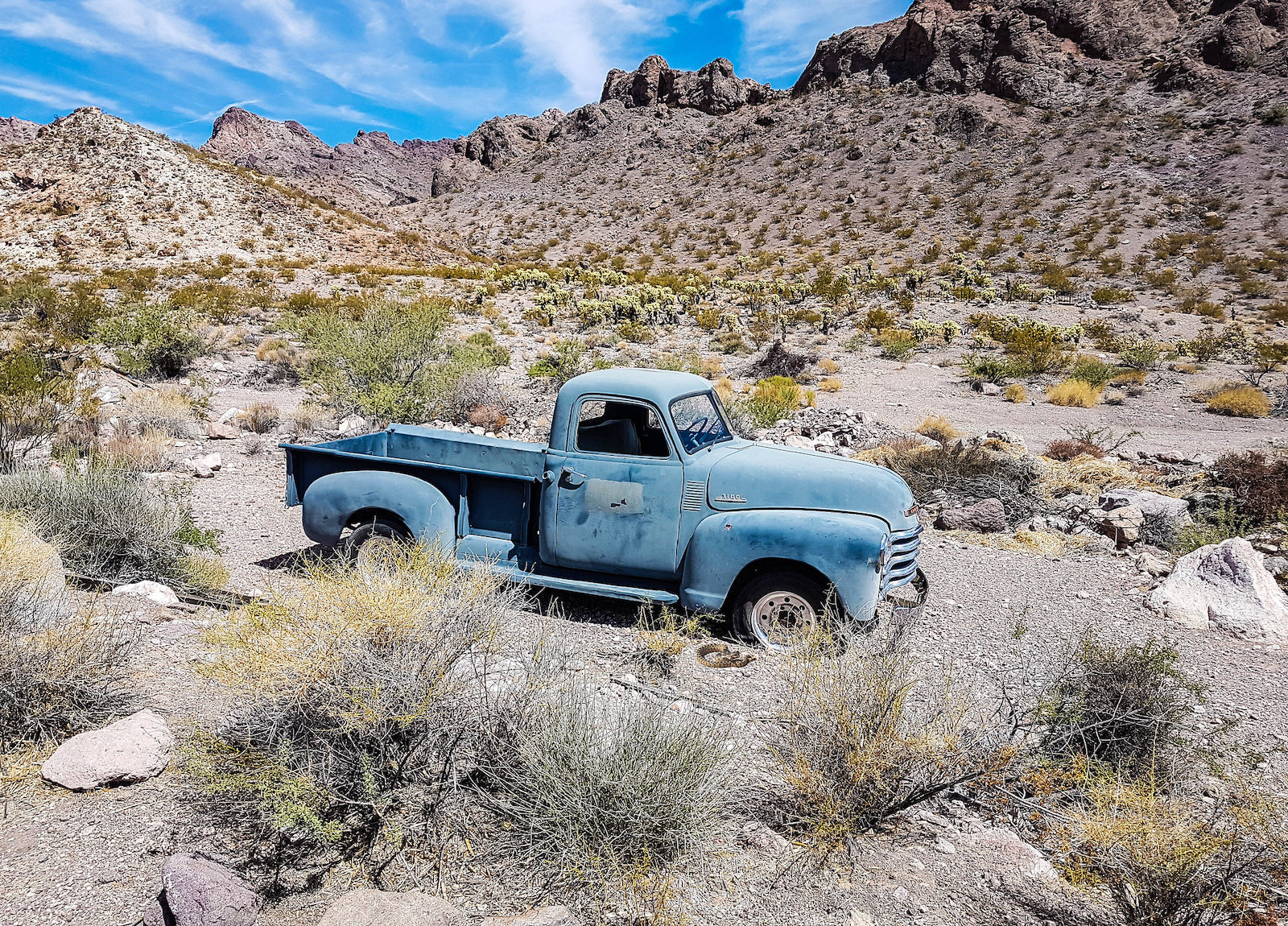 Are there rattlesnakes in Colorado? - Uncover Colorado