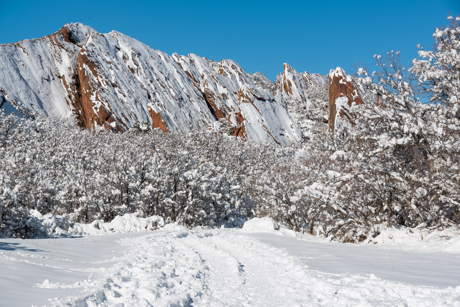 roxborough state park snow