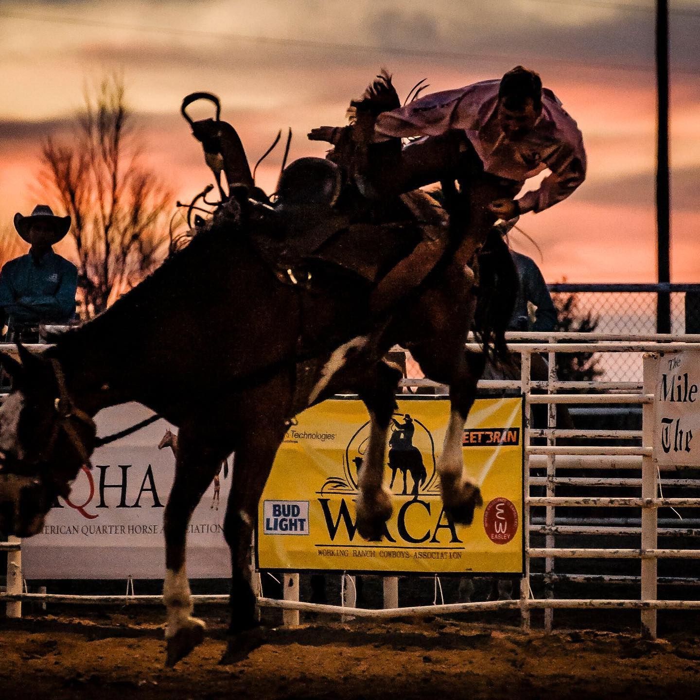 bronc riding at the colorado championship ranch rodeo