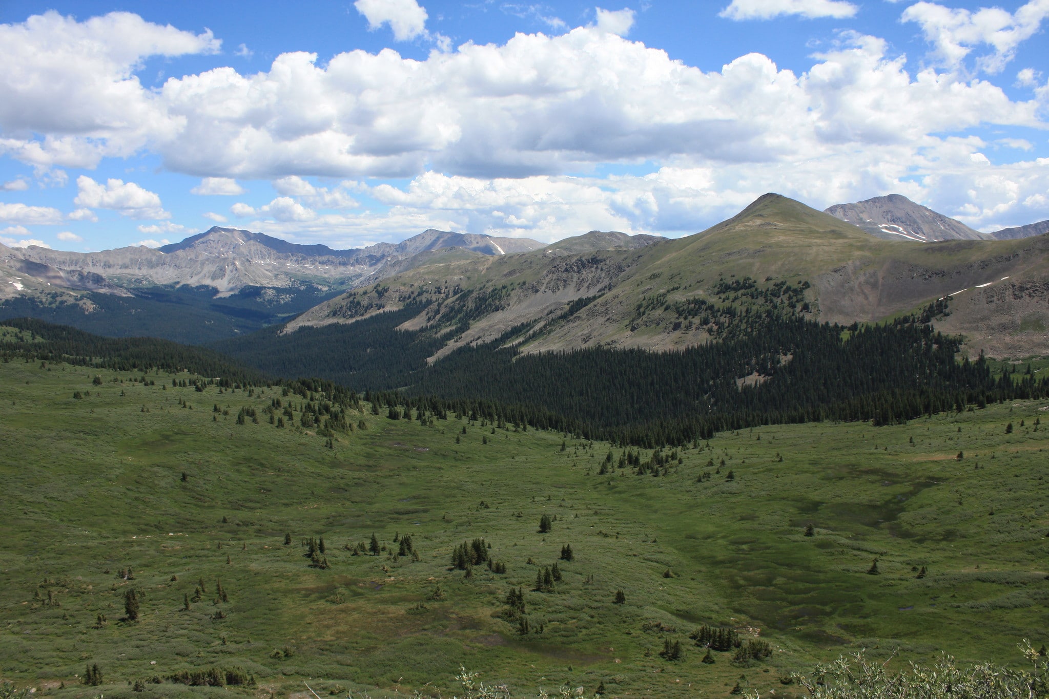 collegiate peaks as seen from Cottonwood pass