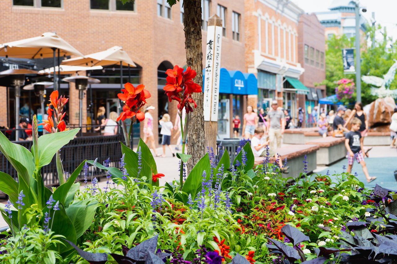 downtown fort collins in the summer