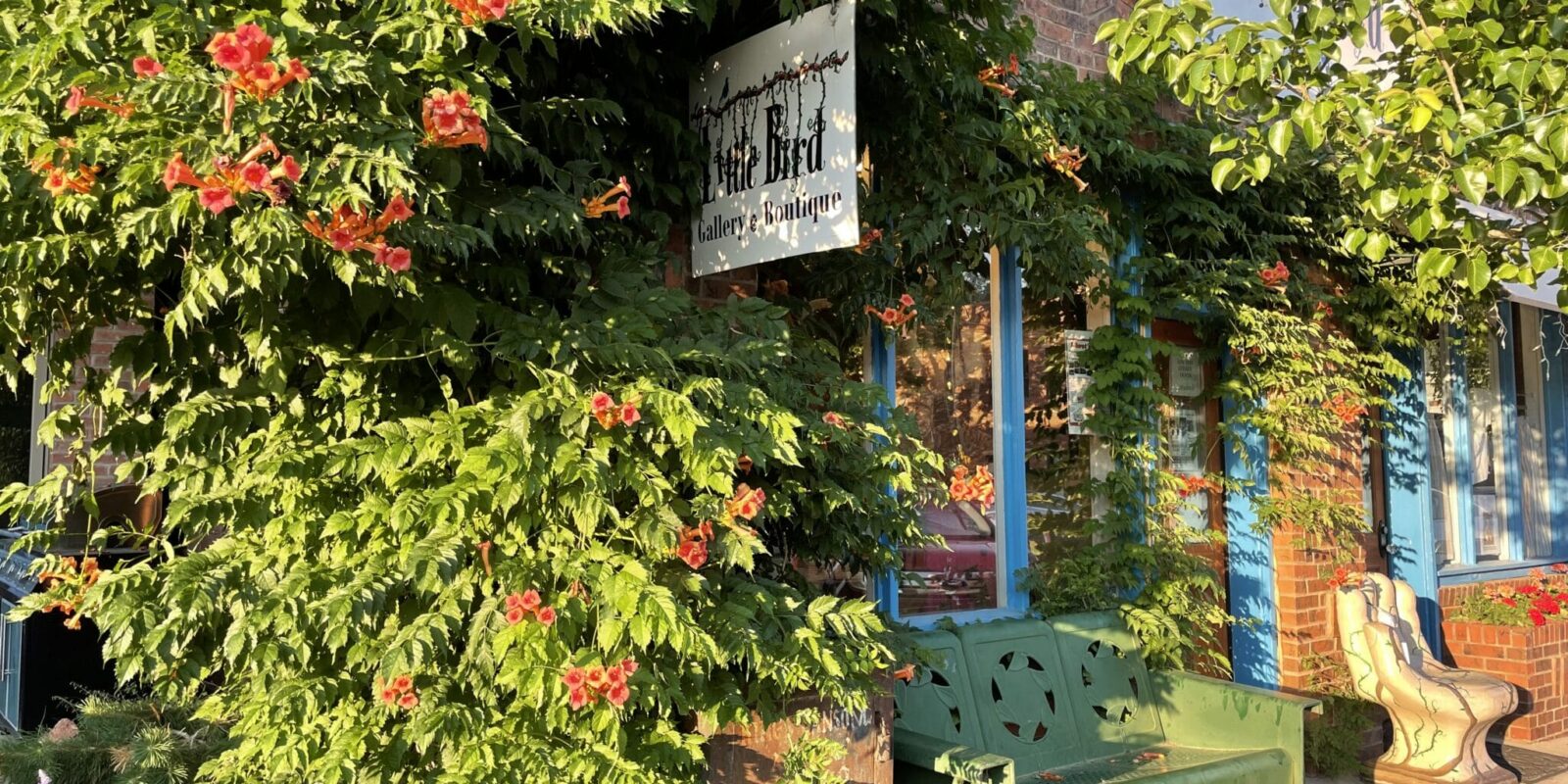 downtown niwot with charming storefronts