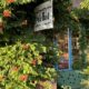 downtown niwot with charming storefronts