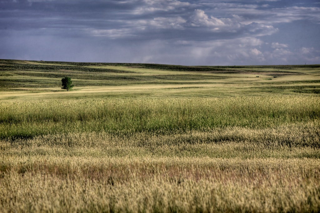 eastern_colorado_high_plains.jpg