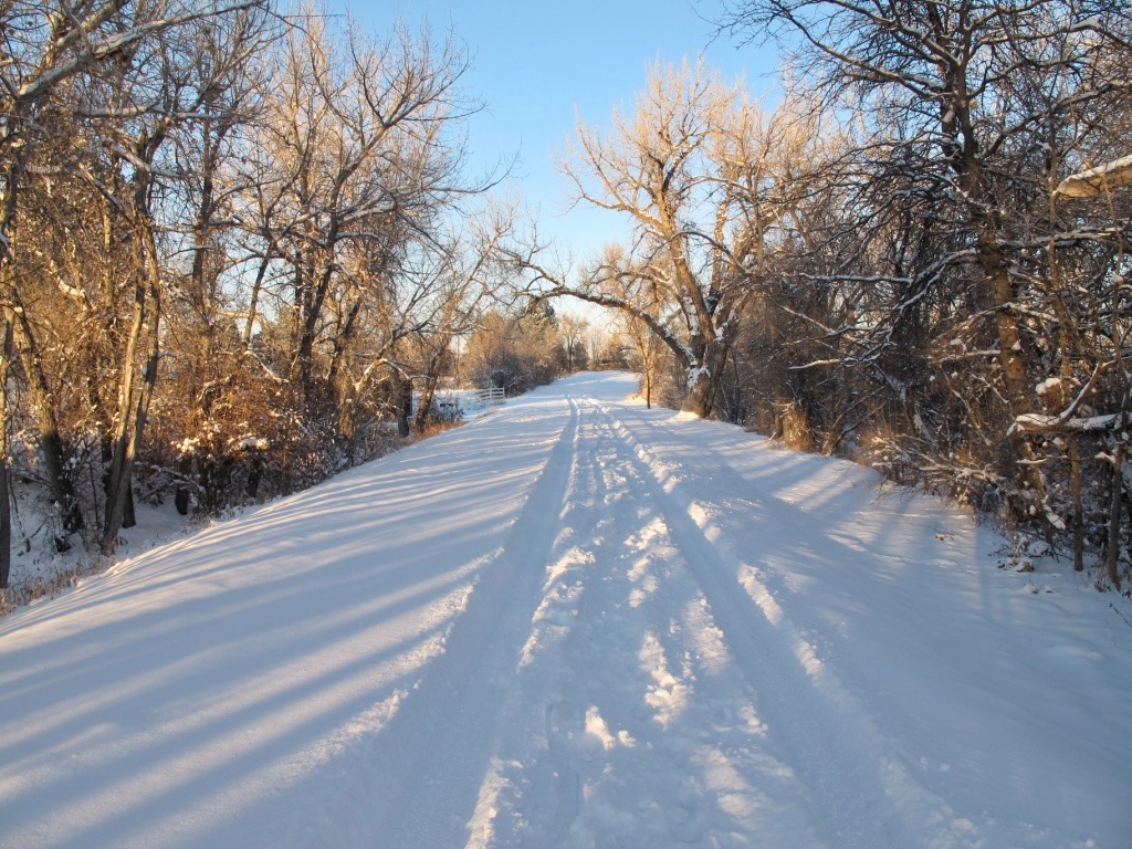 highline canal trail in denver